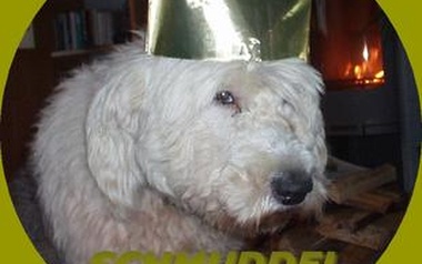 Schmuddel