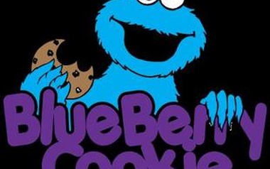 blueberrycookie