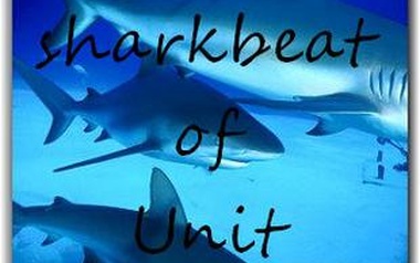 Sharkbeat of Unit