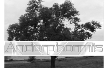 Andorphormis