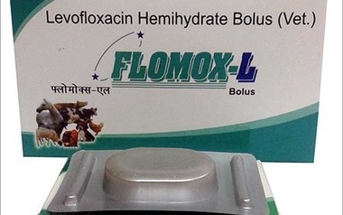 Flomox