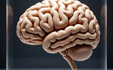SuperBrain