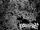 Belshazzar