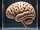 SuperBrain