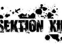 sektion XIII