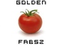 Golden Fabsz