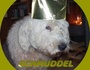 Schmuddel