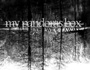 My Pandoras Box