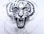 Tat$ache