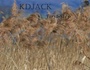 KDjack