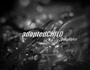 AC-WR-Productions