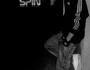 TobSpin