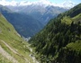 Winterschläfer