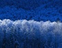 Hodas