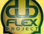 Mike Chatta / Dub flex Project