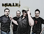 MULLE