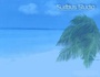Surfbusplayers