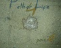 PaineP4L