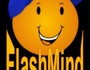 FlashMind