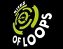 rites of loops / go-lupan