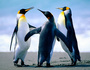 Hannes8765432