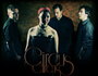 circus! circus!