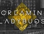 Screaming Ladybugs