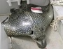 LandmantaRochen