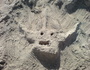 Starchild36
