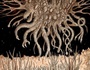 Shub-Niggurath