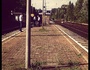 welee