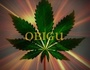 OBIGU