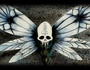 Lunatic Insect
