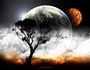 Dark Shadow