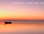 scarlet cuts the sky