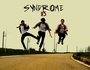 Syndrome113