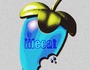 lifecat