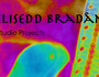 Elisedd Bradân