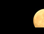 nightlprecords