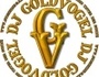 DJ Goldvogel