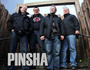 Pinsha
