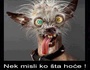 Silent Morf