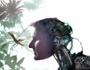 synestem