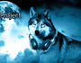 WolfProject
