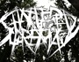 Shattered Supremacy