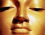 Medikit