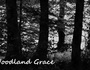 Woodland Grace