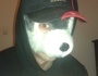 Hazk_RapWolf