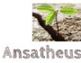 Ansatheus