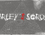 Shirleys Scruff